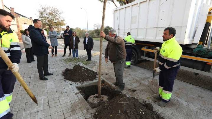 El III Plan de Arbolado de Toledo prevé 2.000 nuevos árboles hasta abril de 2026