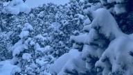 How much did it snow? A look at snow totals across New Mexico
