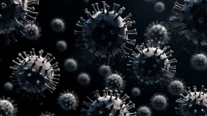 Norovirus alert: safeguarding New Bedford, South Coast from the highly contagious “vomiting bug”