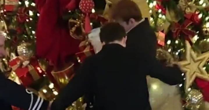 London's Ritz Hotel chaos as man throws 'poo' under Christmas tree in lobby