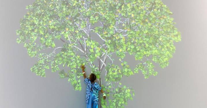 When Walls Speak: Art as Solace in Hospitals