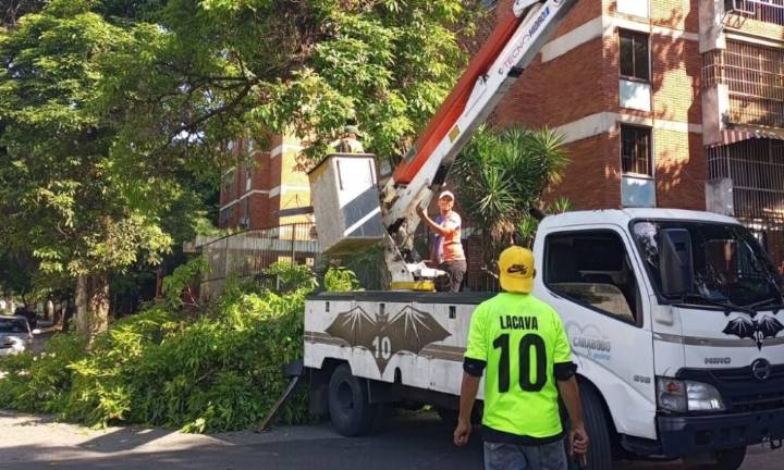 Gobierno de Carabobo realizó labores de pico y poda en Urbanización El Trigal