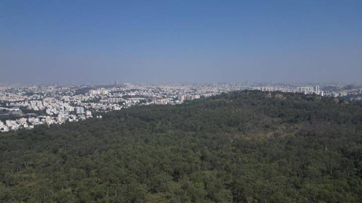 When the urban and the jungle meet in Bengaluru