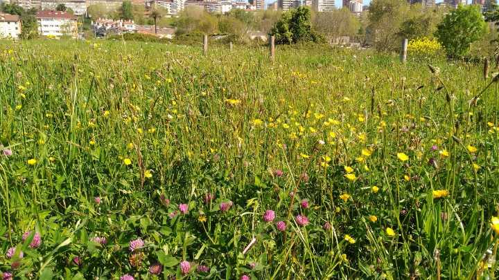 La expansión de las ciudades podría dejar sin agua a 220 millones de personas