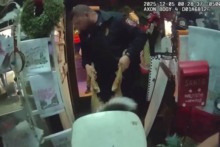 Deer Warned to 'Lay off the Eggnog' After Crashing into Christmas Store