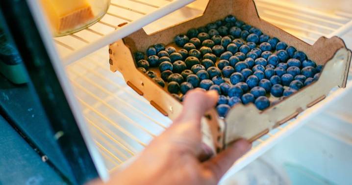 Food scientist shares how to keep blueberries so they last longer