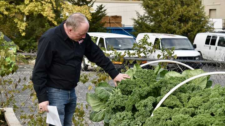 How a Kansas City chicken chain is using a strip of parking lot to grow its freshest ingredients