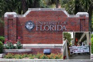 University of Florida ordered to reinstate law student who was expelled after anti