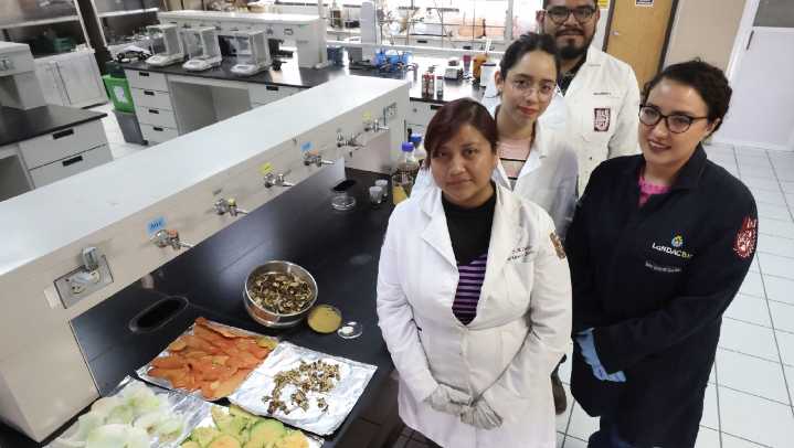 De la basura a la mesa: IPN logra convertir desechos agroindustriales en platos biodegradables
