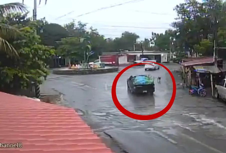 Video: Imágenes revelan traslado de explosivos ocultos entre plátanos antes del ataque