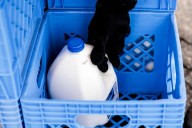 Big Michigan dairy firm eyes new milk, cottage cheese markets with $122M expansion