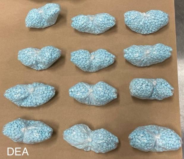 Colorado DEA agents seized 665,000 fentanyl pills and 2.41 kilograms of powder in October operation