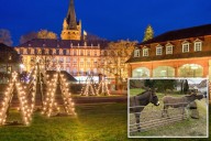 Two grinches reportedly punch Nativity scene donkeys, defecate in church during German Christmas market spree