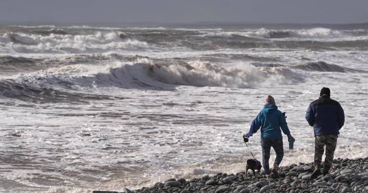 Weather warnings in effect as snow, rain and wind in forecast for Atlantic Canada