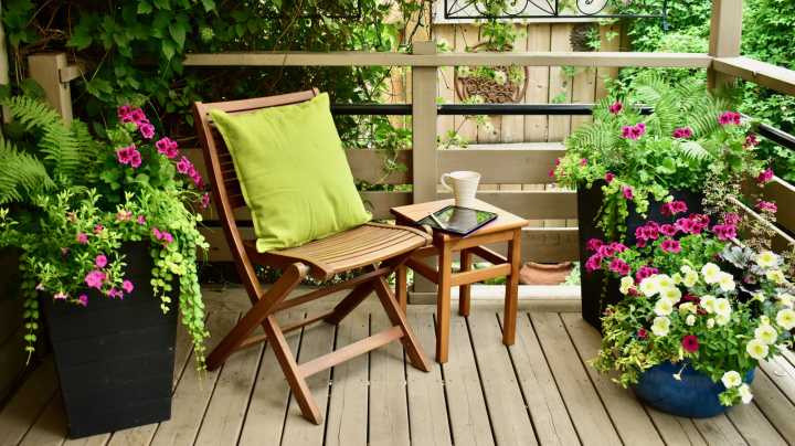 20 Varieties Of Plants You Can Grow In The Shade Of A Covered Patio