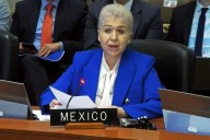 Defiende México asilo político ante la OEA