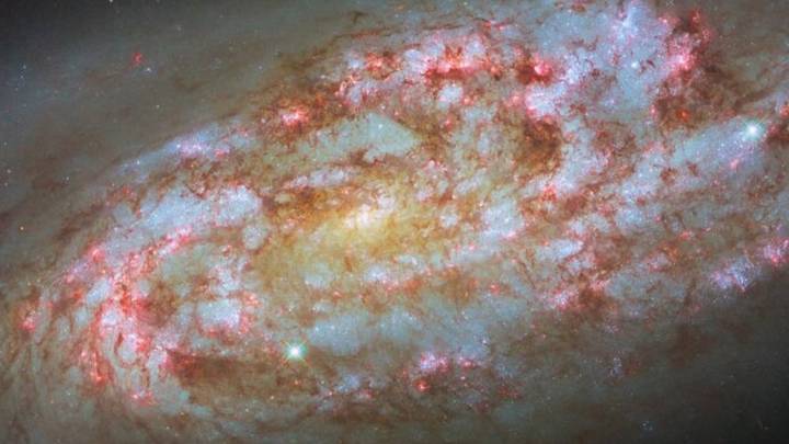 El telescopio Hubble captó una galaxia que forma estrellas a un ritmo frenético a 50 millones de años luz