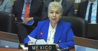 México defiende ante la OEA el asilo como derecho irrenunciable