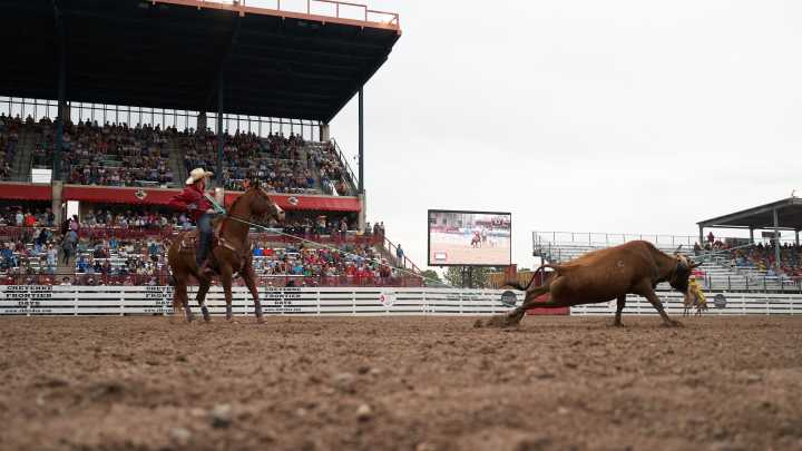 Here are Cheyenne Frontier Days' concert and rodeo lineup for 2026