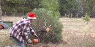 Central Texas Christmas tree farm keeps ‘real-tree’ tradition alive despite climate