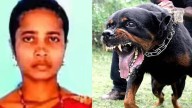 Woman mauled to death in Rottweiler attack, bitten in 50 places