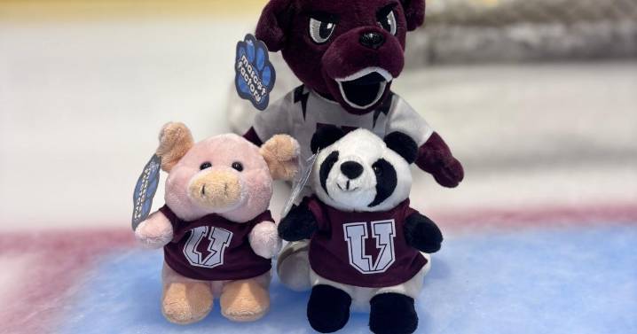 Union men's hockey to hold Teddy Bear Toss, Toy Drive on Saturday