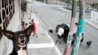 Perritos impiden el secuestro de un abuelito en plena calle; "¡Gracias a Dios no los mataron!"