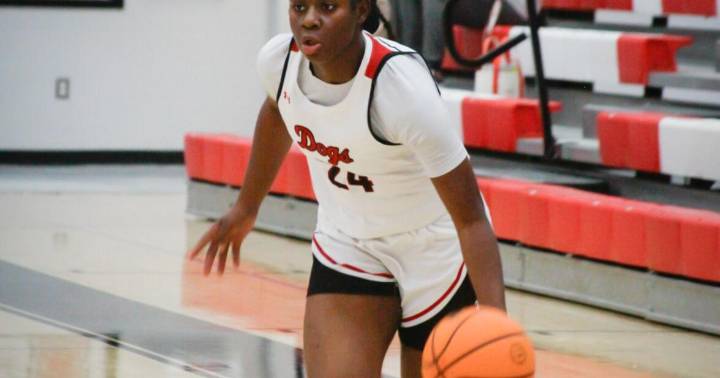 Lady Dogs win one, lose two, face Putnam Saturday