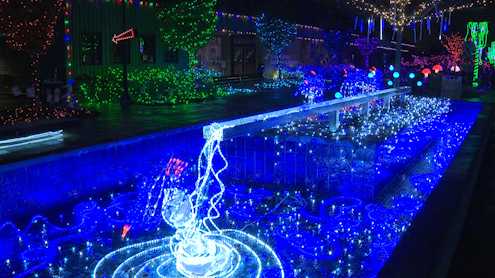 Waterfront Botanical Gardens shine for 6th annual Gardens Aglimmer