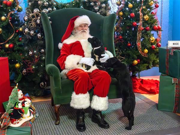 Get pet photos with Santa