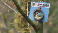 Willamette Valley ornament hunt returns for its eighth year