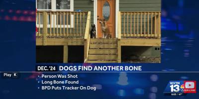 Remains found by neighborhood dog identified as missing Center Point man