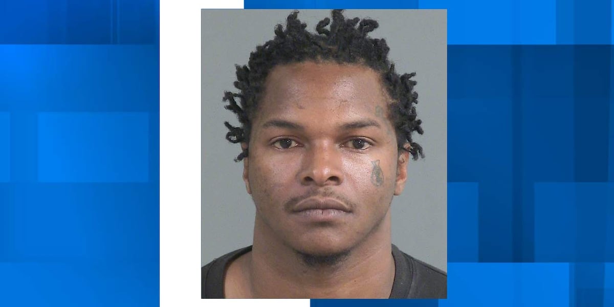 North Charleston Police arrest wanted man accused of tossing gun