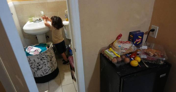 Families set off on migration journeys and find themselves torn apart