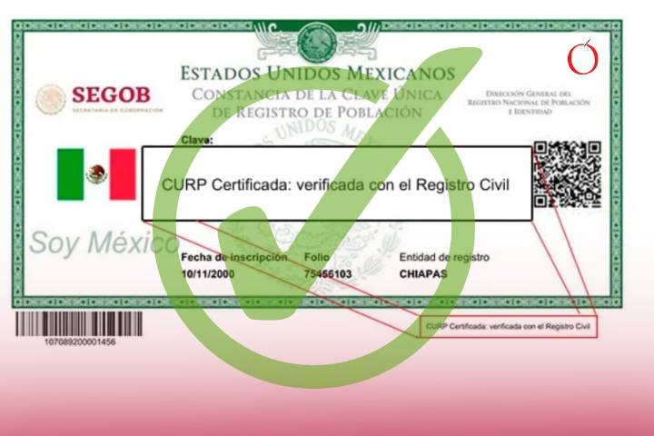 CURP Certificada: requisitos y pasos para sacarla gratis en internet