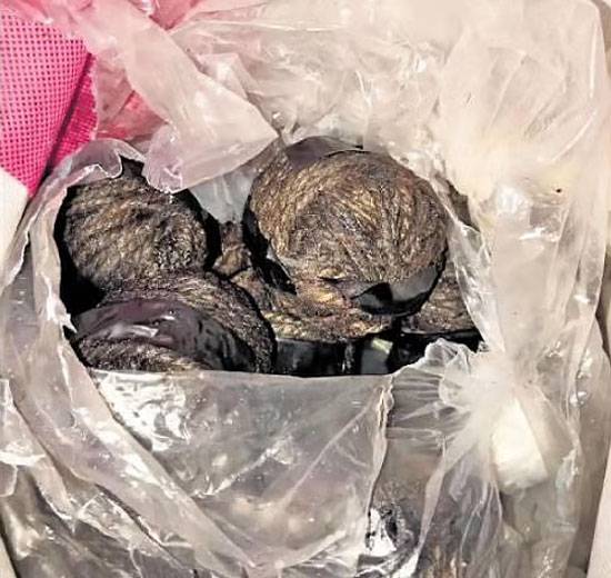 Dog dies after biting country-made bomb at Kothagudem Railway station; security tightened