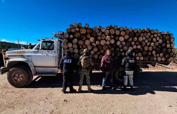Detienen a chofer, transportaba madera de dudosa procedencia