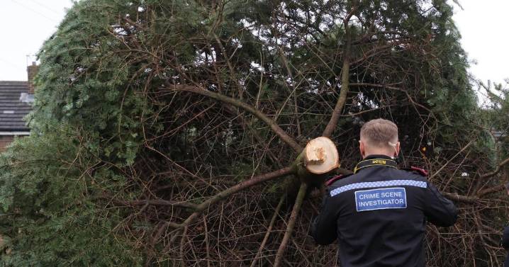 Two arrested after Shotton Colliery Christmas tree cut down