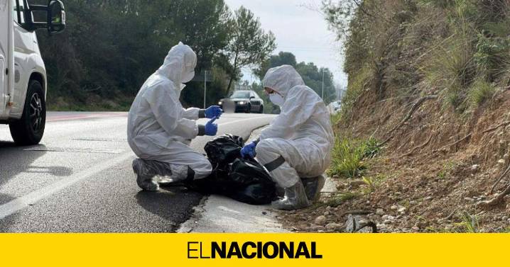 La UE desplegará su equipo de emergencia veterinaria en Catalunya por la peste porcina africana