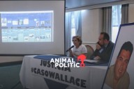 Caso Wallace: piden a la Corte reabrir juicio en que se ordenó la libertad de Juana Hilda González