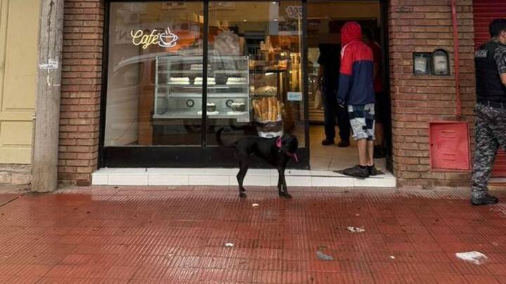 Quedó grabado: así fue el brutal ataque de cuatro chicas a una empleada en Córdoba