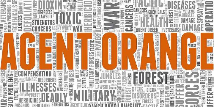 Agente Naranja Vinculado a Cánceres Raros de Médula Ósea