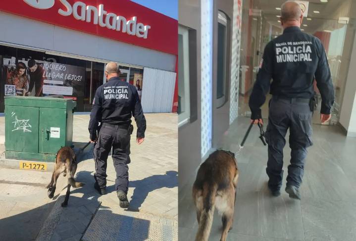 Refuerzan vigilancia con binomios caninos en bancos y centros comerciales de Bahía de Banderas