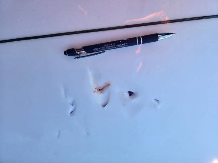 Surfer hospitalized following Sonoma Coast shark attack