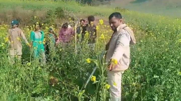 MP News: Hunter Arrested For Killing Sambar Deer Using Electric Current In Panna; 10 Kg Meat Seized