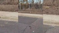 Man Pulls Over To Investigate Odd Shape On A New York Roadside And Uncovers A Life