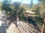 La Comunidad Lof Puel denunció cortes intencionales de alambrados en su territorio