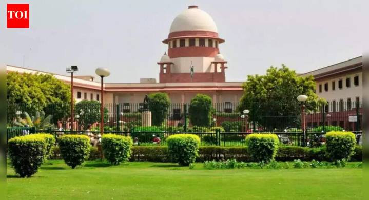 SIR work being 'hindered' in states: SC takes serious note of BLOs being threatened; asks EC to 'deal with situation'