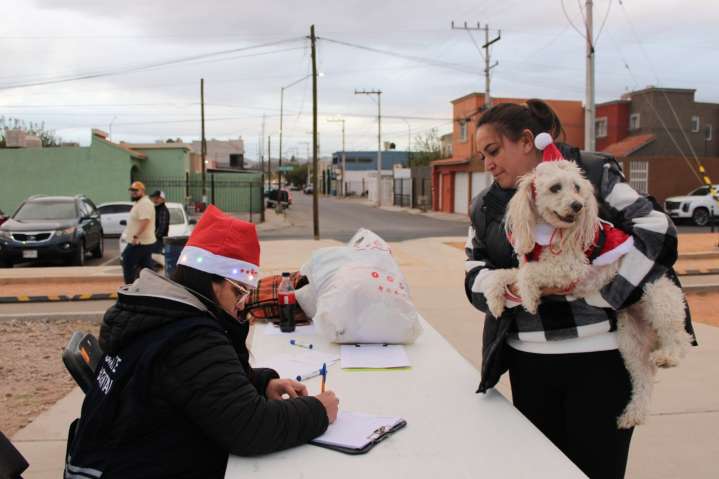 Perros y gatos encuentran familia en evento “Navidad de Pelos” del Gobierno Municipal
