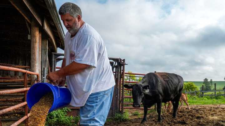 Love for livestock more than steaks that 'wow' at Iowa Wagyu farm